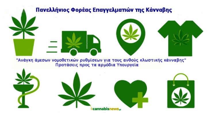 Αμφίβολη η σπορά κάνναβης